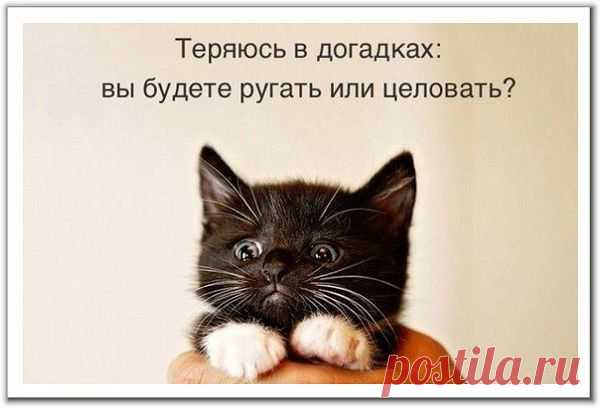 Интересные новости