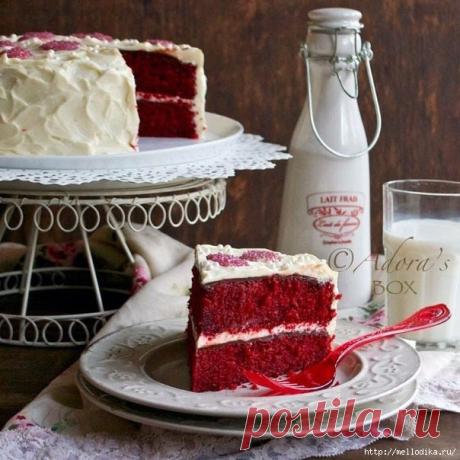 Дневник rukolka