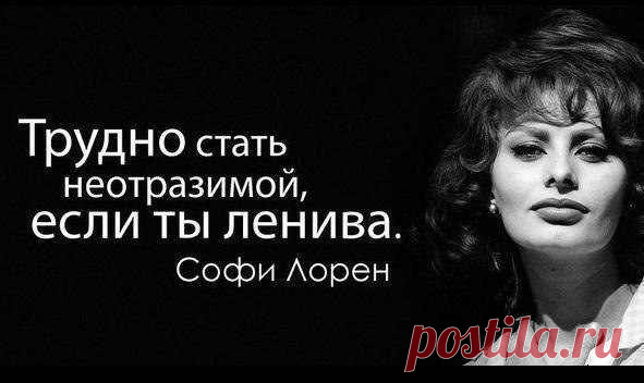 Секреты женской Красоты!!!
Каждая женщина, усаживаясь за туалетный столик, становится художницей и погружается в мир искусства. Точнее - она получает шанс.
Софи Лорен
