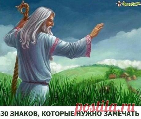 (29) Одноклассники