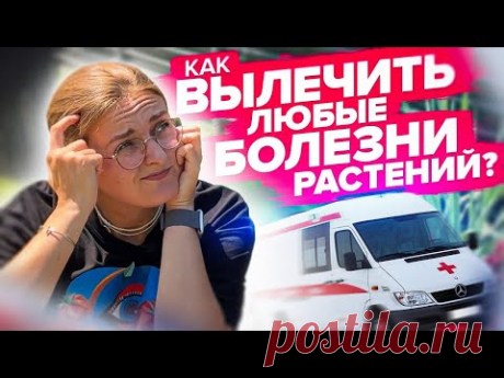 КАК ДЕШЕВО ВЫЛЕЧИТЬ ЛЮБЫЕ БОЛЕЗНИ РАСТЕНИЙ?