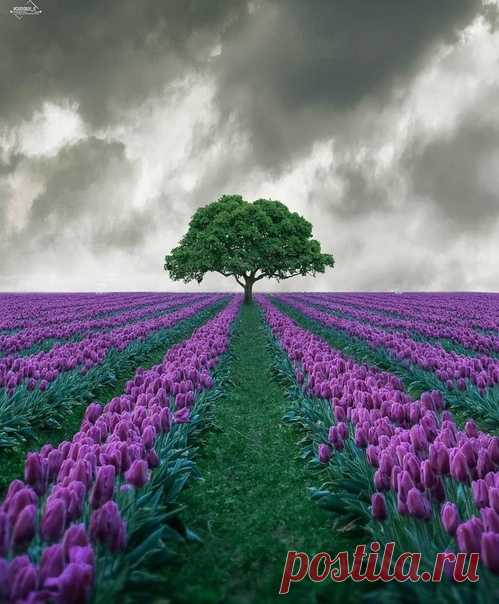 30 Марта 2019 г. – Суббота • Час Земли (Earth Hour) • Родительская суббота третьей седмицы • День обнимания с солнцем • День защиты Земли • День спичечного кораблестроения • Ладодение • День войск ракетно-космической обороны (РКО) РФ • Всемирный день идли (World Idli Day) • День доктора (National Doctor`s Day) - США • День супа из шеи индейки (National Turkey Neck Soup Day) - США • День духовного освобождения - Тринидад и Тобаго • День «Я всё здесь контролирую» (National I am in Control Day) -…