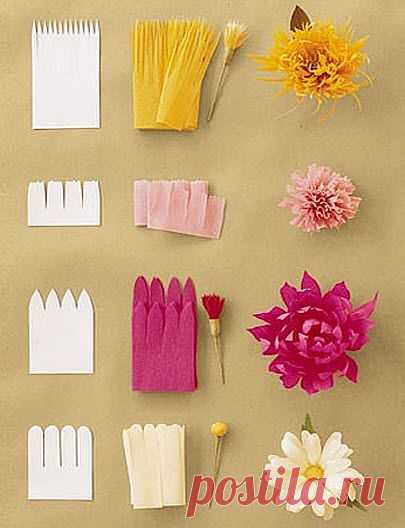 (60) Pinterest
