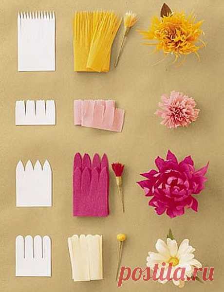 (60) Pinterest