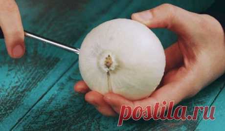 Несколько раз протыкаем луковицу отвёрткой и...зарядка для телефона готова