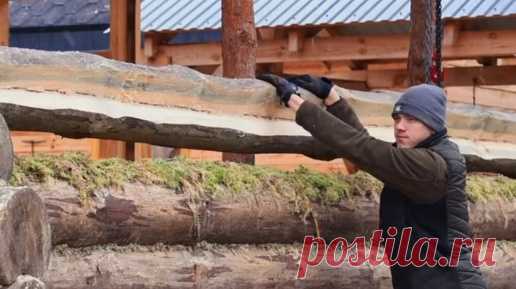 Блог о путешествии и дикой природе | Парень в одиночку строит дом. Масштаб работы впечатляет. | Дзен