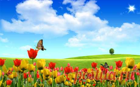 beautiful_buds_fantasy-widescreen_wallpapers.jpg (Изображение JPEG, 1920 × 1200 пикселов) - Масштабированное (64%)