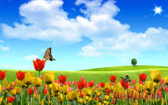 beautiful_buds_fantasy-widescreen_wallpapers.jpg (Изображение JPEG, 1920 × 1200 пикселов) - Масштабированное (64%)