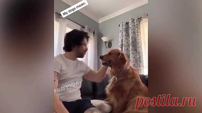 Я РЖАЛ ЦЕЛЫЙ ЧАС😹КОШКИ 2021 ЛУЧШИЕ ПРИКОЛЫ / СМЕШНЫЕ ЖИВОТНЫЕ ЗА ВЕСЬ ДЕКАБРЬ 2021😹 ТЕСТ НА ПСИХИКУ