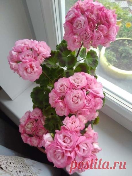 Ого.....такого я ещё не видела...какая красота!!!🤗