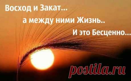 Мой Мир@Mail.Ru