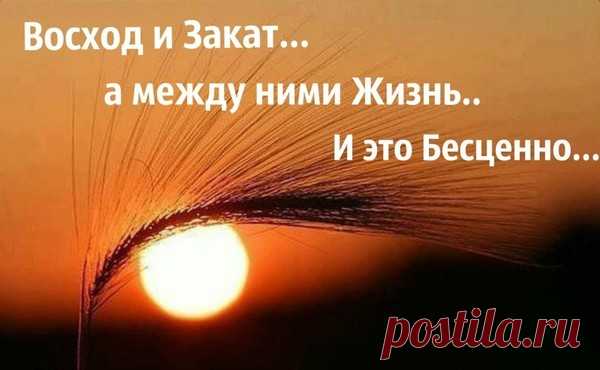 Мой Мир@Mail.Ru