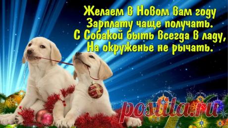 поздравления с новым годом 2018 собаки: 13 тыс изображений найдено в Яндекс.Картинках