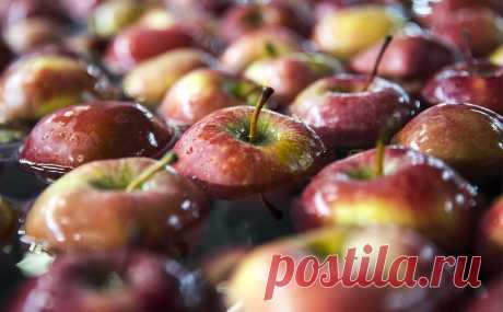 В «Абрау-Дюрсо» сообщили о тренде в Китае на сидр и российские яблоки. В Китае есть тренд на российские яблоки, рассказал в интервью РБК глава «Абрау-Дюрсо» Павел Титов.