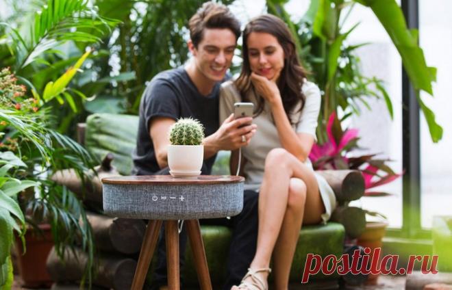 Музыкальный стол: крутейшие динамики или домашний кинотеатр, на который не страшно поставить чашку кофе | Чёрт побери The Mellow – кофейный стол и динамики со звучанием на 360 градусов по совместительству Мы с вами, господа, разбалованы технологиями. Благодаря продвинутым девайсам и терабайтам видео-обзоров в Сети мы знаем, что такое качественная картинка и хороший звук. И уже не соглашаемся на меньшее. Даже в сегменте бюджетной техники. Неудивительно, что теперь и кофейны...