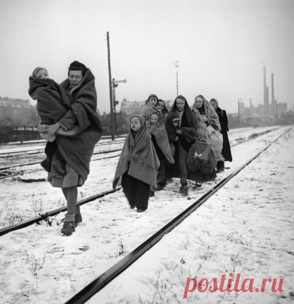 Это вам не добренький Сталин. Это депортация по-европейски