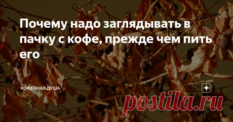 Почему надо заглядывать в пачку с кофе, прежде чем пить его Раньше я часто совершал такую ошибку: покупал кофе и потом не глядя брал, молол и пил.
Не надо так! Может попаться квакер и тогда вы получите отвратительный кофе. Этим страдает кофе, которые купили во всяких пятерочках или других подозрительных местах.
Довольно давно я понял, что растворимый кофе — не айс. Покупал зерновой в магазинах и думал, что кофейные лавки, где этого кофе стотыщмильонов паке