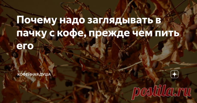 Почему надо заглядывать в пачку с кофе, прежде чем пить его Раньше я часто совершал такую ошибку: покупал кофе и потом не глядя брал, молол и пил.
Не надо так! Может попаться квакер и тогда вы получите отвратительный кофе. Этим страдает кофе, которые купили во всяких пятерочках или других подозрительных местах.
Довольно давно я понял, что растворимый кофе — не айс. Покупал зерновой в магазинах и думал, что кофейные лавки, где этого кофе стотыщмильонов паке