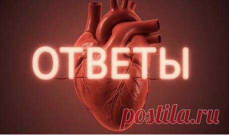 Остались вопросы? | PortalBio