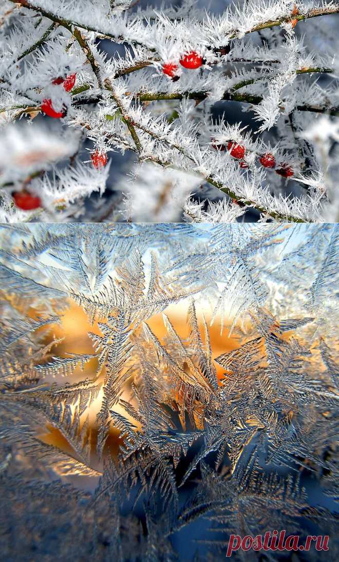 Забавы Снежной королевы
