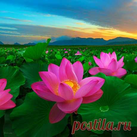 Редактировать описание