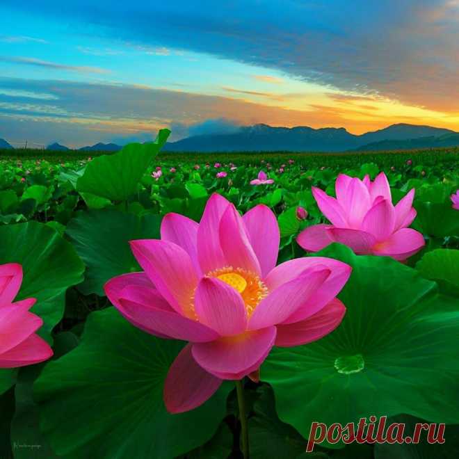 Редактировать описание