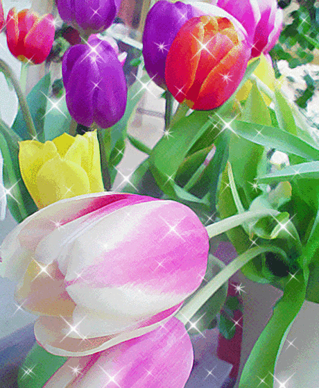 (4) Одноклассники