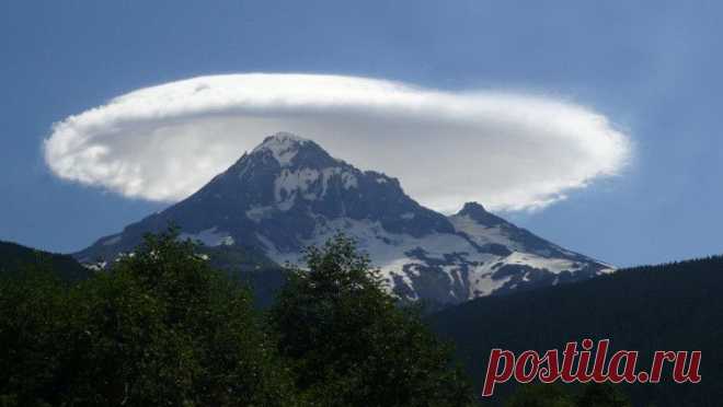 29 фотографий, доказывающих, что жизнь на этой планете удивительна