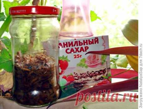 Защищаемся от комаров и мошек: способ, который теперь применяем постоянно