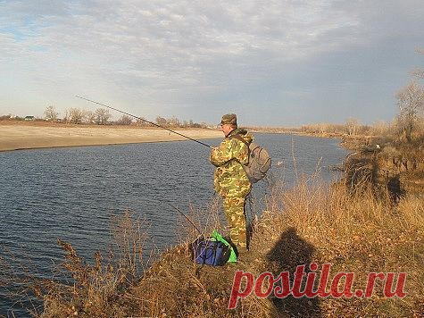 Окуни не дали скучать