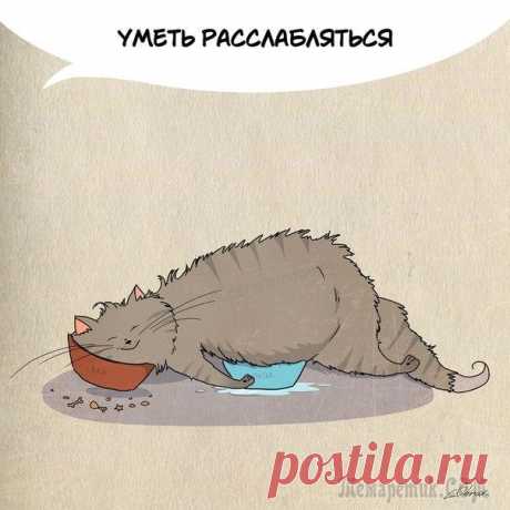 1 марта отмечается День кошек