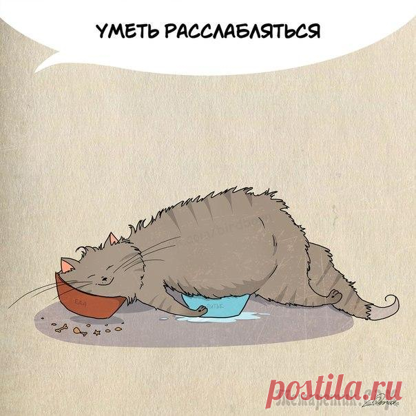 1 марта отмечается День кошек