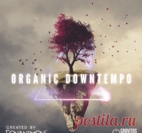 Download Gravitas Organic Downtempo - Create by Equanimous [WAV] | 10 October 2024 | 381.57 MB Multi-instrumentalist producer and founder of High Vibe Records, Equanimous brings his blissful sonic artistry to Gravitas Create with ‘Organic Downtempo’.