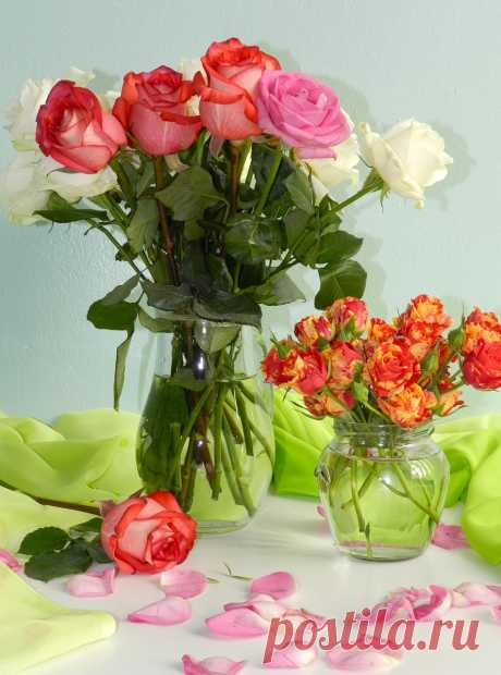 0_7655d_b9fc17fb_-8-XXXL.jpg (950×1280)