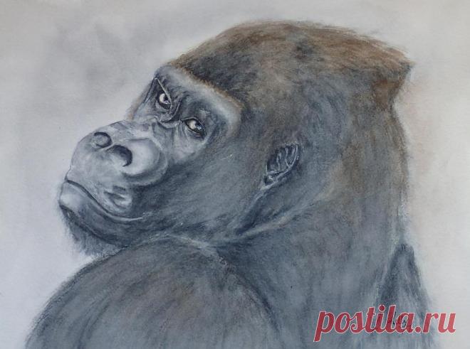 Gorilla's Celebrity Pose by Kelly Mills Gorilla's Celebrity Pose Painting by Kelly Mills