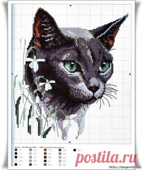 Вышивка - кошки и коты