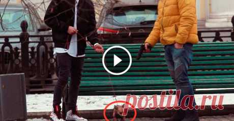 Шокирующий социальный эксперимент: готовы ли люди за деньги убить животное? Группа молодых людей решила провести социальный эксперимент и проверить готовы ли люди за определённую сумму убить невинное животное. Сказать, что результат этого эксперимента ужасает — это ничего не сказать. Единственные в мире существа, которые готовы отдать свою жизнь за человека, были преданы че