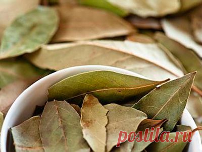 Самостоятельное Самостоятельное лечение суставов лавровым листом – спасательный круг для вашего здоровья. Самостоятельное лечение суставов