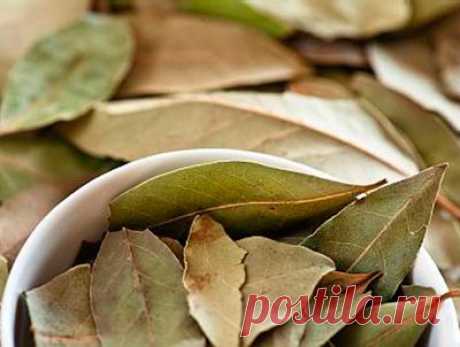 Самостоятельное Самостоятельное лечение суставов лавровым листом – спасательный круг для вашего здоровья. Самостоятельное лечение суставов