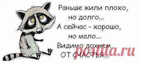 С нашей зарплатой нужно жить только в Африке—трусики,бусики и я — красавица!