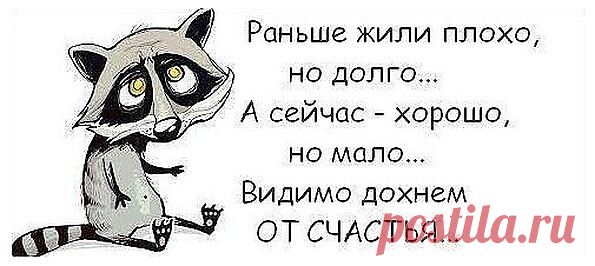 С нашей зарплатой нужно жить только в Африке—трусики,бусики и я — красавица!