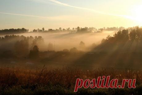 Красота со всего света(1).