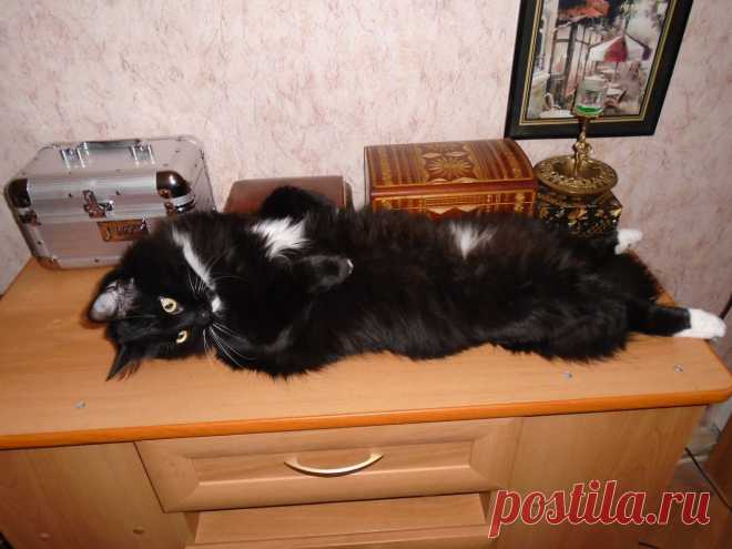 Диалоги