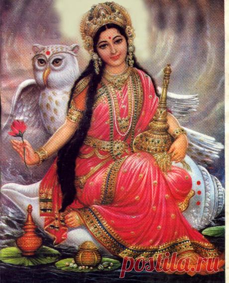 laxmi-owl1.jpg (1056×1306)