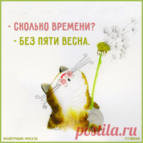 картинки