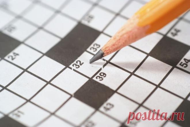 Как сделать мозг более «гибким» и восприимчивым — Делимся советами