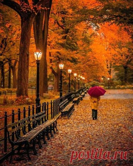 Central Park NYC