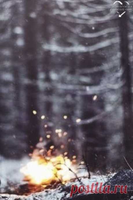 Поймите: время не ждёт человека. То, что было вчера, – уже история. Что будет завтра – не дано знать никому. Сегодняшний день – это подарок.