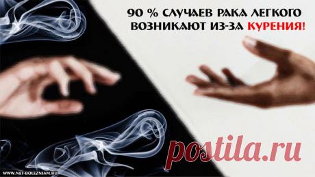 Почему возникает рак? 9 причин возникновения онкологических заболеваний 

Почти 9 случаев рака легкого (или бронхов) из 10 возникают из-за курения. Впоследствии около 2 миллионов людей умирают ежегодно от этих форм рака.

50 % случаев раков дыхательной системы наблюдаются у людей старше 65 лет.