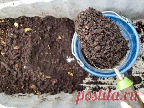 How to Harvest Worm Castings from a Simple Worm Compost Bin - YouTube